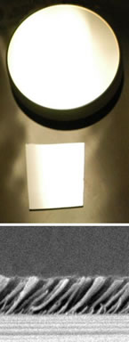 Anti-reflection Coating